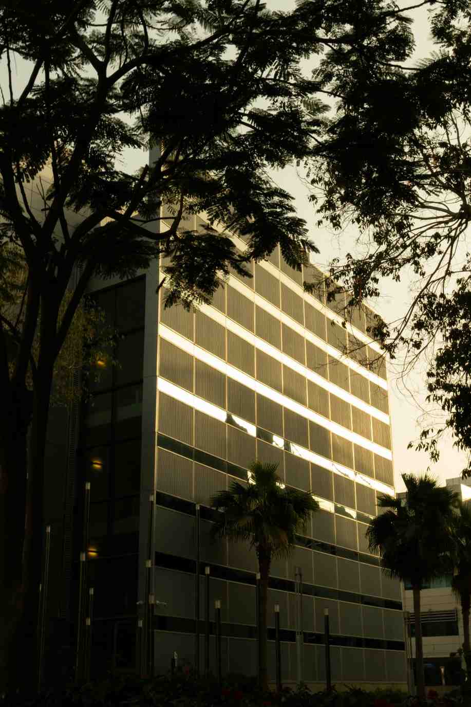 Company Share Transfer in Bangladesh | RJSC Company share Transfer in Bangladesh